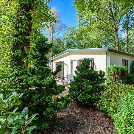 Luxe Familiehuis Veluwe 4-6 Persons Pool Kids Dog Hoenderloo Bagian luar foto